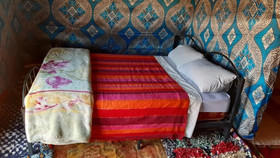 Desert Queen Camp