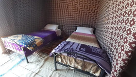 Desert Queen Camp