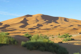 Desert Queen Camp