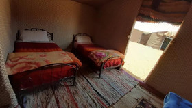 Desert Queen Camp