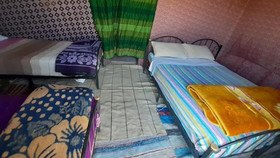 Desert Queen Camp