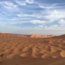 Desert Queen Camp