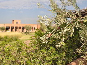 Quaryati