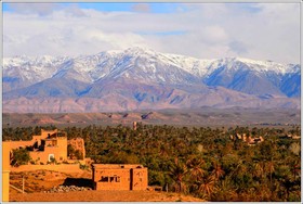 Aramja Luxury Camp
