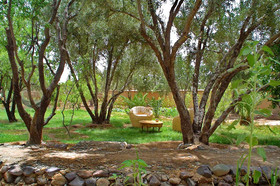 Les Jardins de Skoura