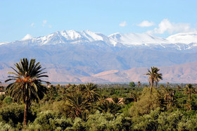 Les Jardins de Skoura