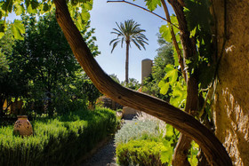 Les Jardins de Skoura