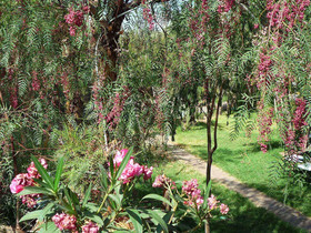 Les Jardins de Skoura
