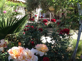 Les Jardins de Skoura