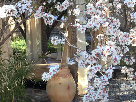 Les Jardins de Skoura