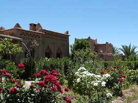 Sawadi Ecolodge