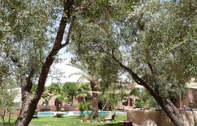 Sawadi Ecolodge