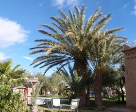 Sawadi Ecolodge
