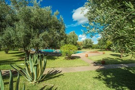 Villa Les Oliviers