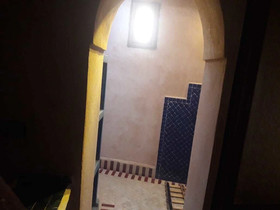 Camels House