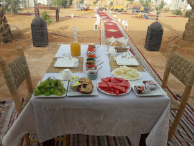 Camels House