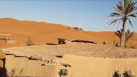 Sahara Camp & Camel Trek