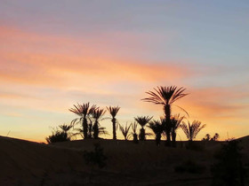 Sahara Camp & Camel Trek