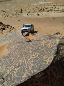 Sahara Camp & Camel Trek