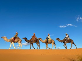 Sahara Luxury Camps