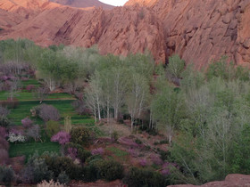 Kasbah Flilou