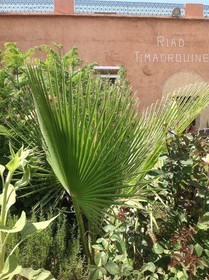 Riad Timadrouine