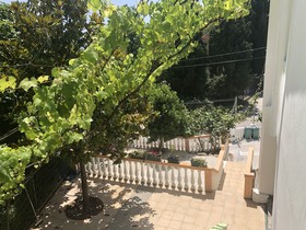 Green Villa