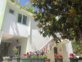 Green Villa