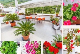 Apartments Harmonija