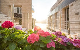 Dukley Hotel & Resort