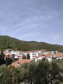 Lotus Alba Apartments