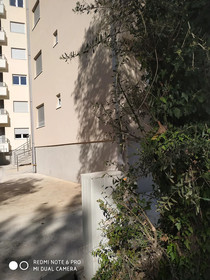Lotus Alba Apartments