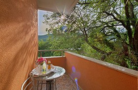Villa Ivanovic