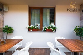 Hotel Sokoline