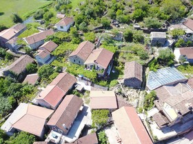 Lotus House Dodosi