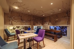 Hotel Capitano