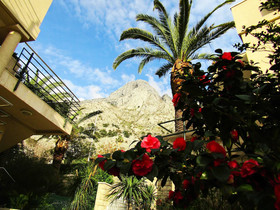 Palma Apartments