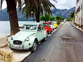Pansion Pana Kotor