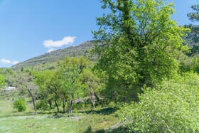 Royal Blue Resort & Residences