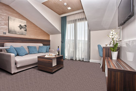 Wellness & Spa Hotel ACD