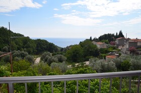 Apartments Djedovic