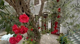 Hotel Casa Di Oliveto
