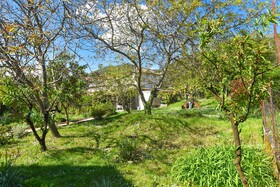 Branka Apartments