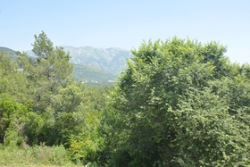 Apartments Crnogorac