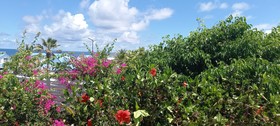 Tiko Lodge Sxm