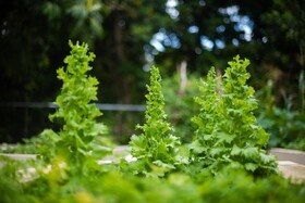 Mantis Soanambo Hotel & Spa