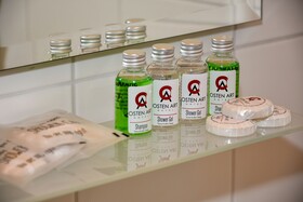 Osten Art Hotel