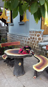 Nature Land Hotel 2