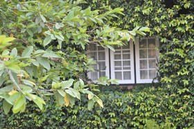 The Kalaw Heritage Hotel