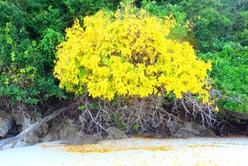 Victoria Cliff Nyaung Oo Phee Island
